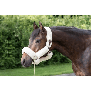 Perri's Sheepskin Shipping Halter - Sagebrush Tack