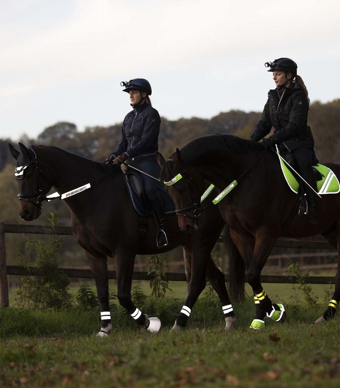 Waldhausen REFLEX Bridle Set