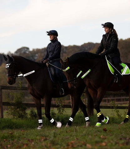 Waldhausen REFLEX Bridle Set