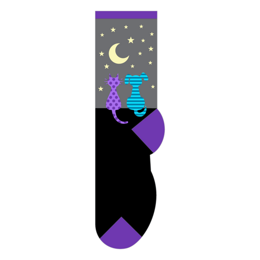 Foozys Kids' Socks - Star Gazing Cat & Dog