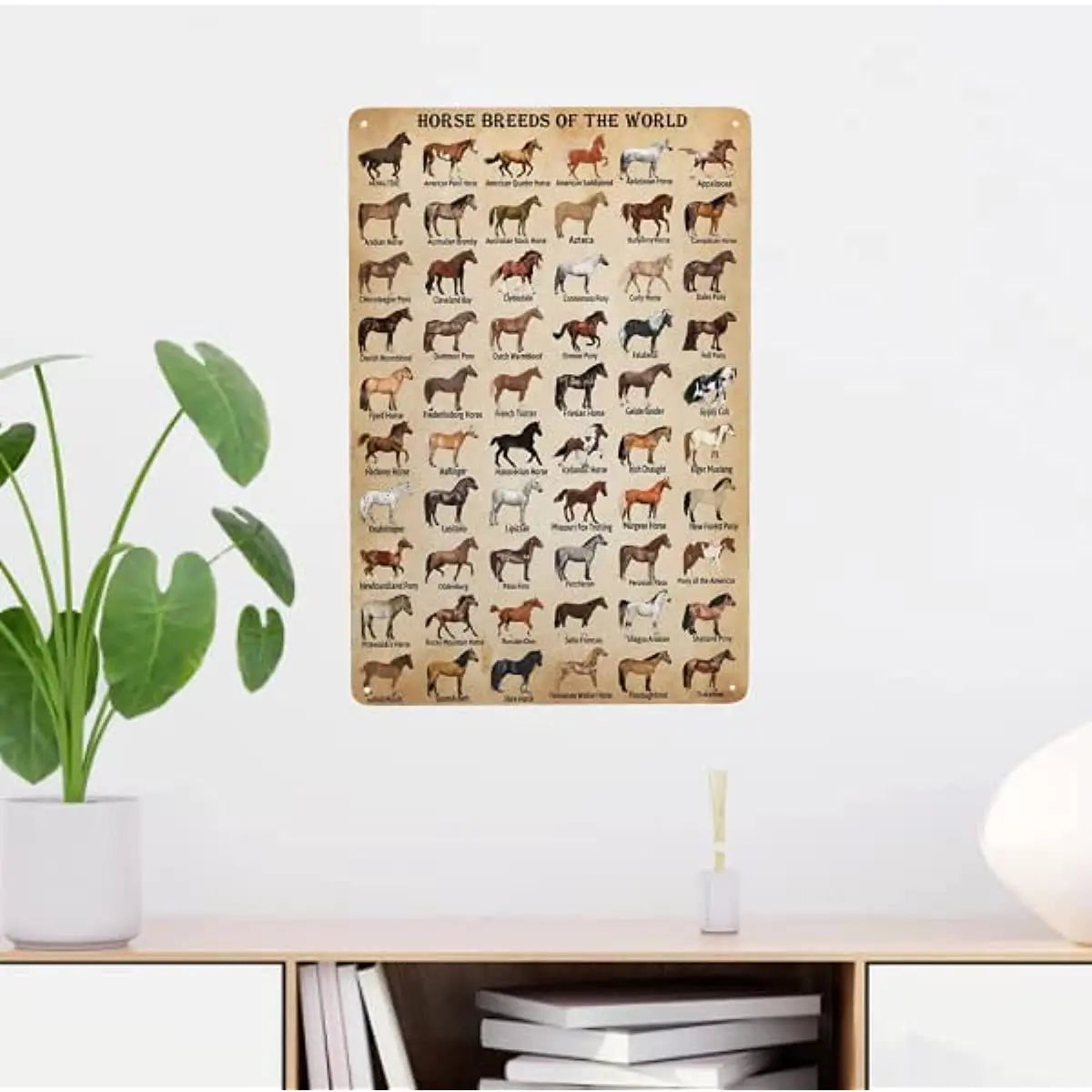 Horse Breeds of The World- Tin Sign