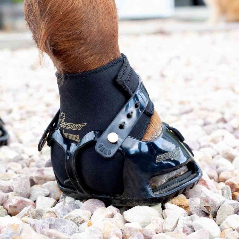 Scoot Boot Endurance Gaiters - Black