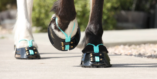Scoot Boot Mud Straps - Black