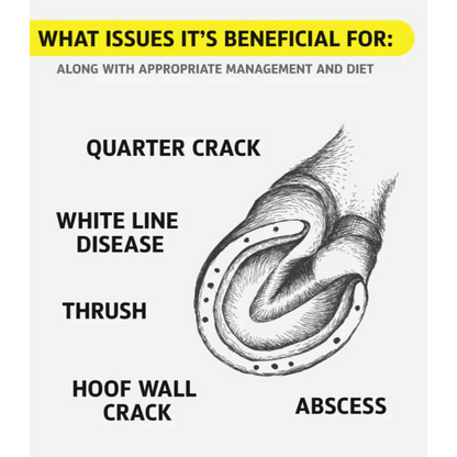 Hoof Doctor Putty - Sagebrush Tack