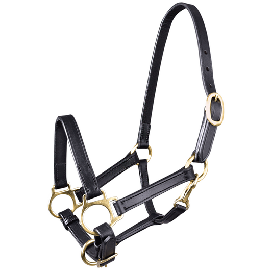 Waldhausen Star Leather Foal Halter - Sagebrush Tack
