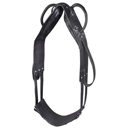 Waldhausen Star Vaulting Surcingle