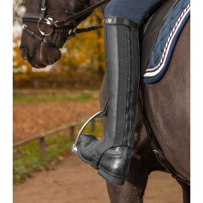 Waldhausen ELT "Exclusive" Leather Half Chaps