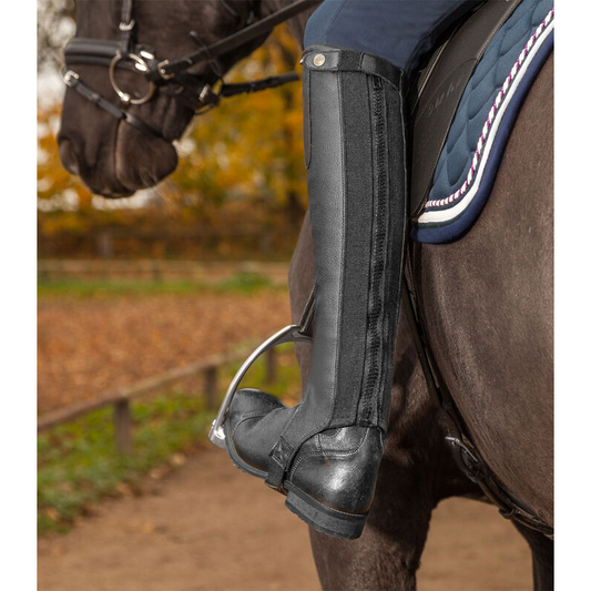 Waldhausen ELT "Exclusive" Leather Half Chaps
