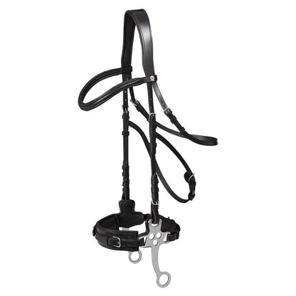 X-Line Hackamore Bridle with Web Reins - Sagebrush Tack