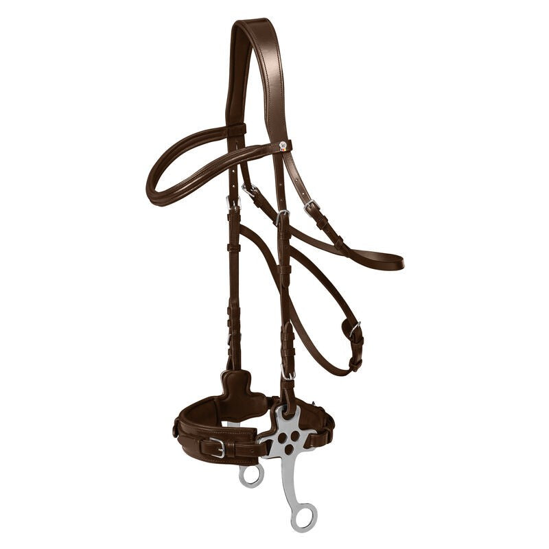 X-Line Hackamore Bridle with Web Reins - Sagebrush Tack