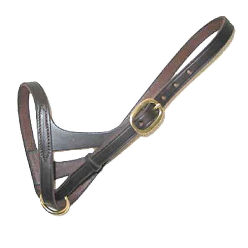 Deluxe Leather Foal Slip - Sagebrush Tack