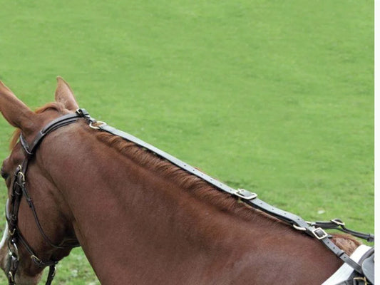 Waldhausen STAR Anti-Grazing Reins