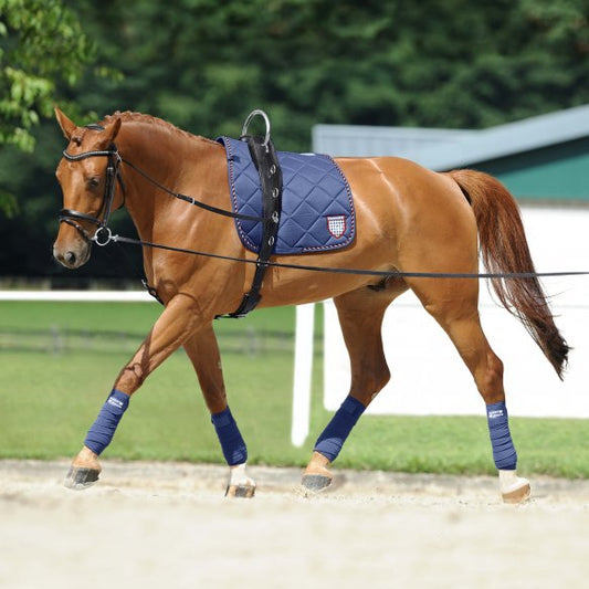 Passier Horst Becker Gymnastic Reins