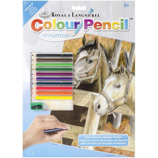 Pencil by Number Kit 9" x 12" - Buck's Pal
