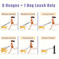 Dog leash usage chart showing multiple applications with a single leash.
