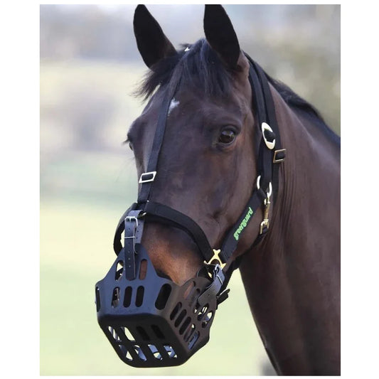 Greenguard Premium Halter - for use with GreenGuard Grazing Muzzle - Sagebrush Tack