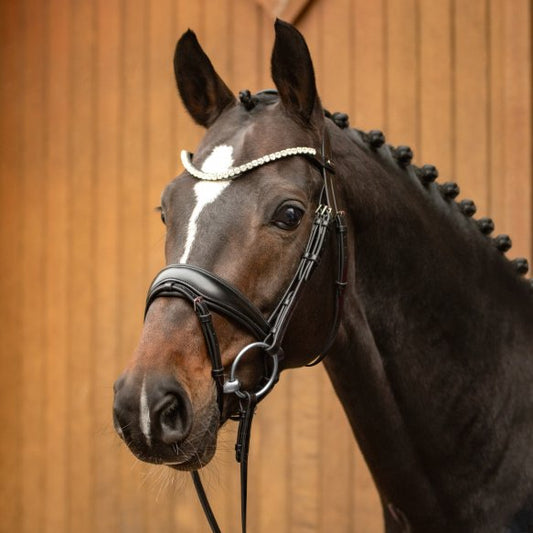 Passier Ingrid Klimke Favourite Snaffle Bridle