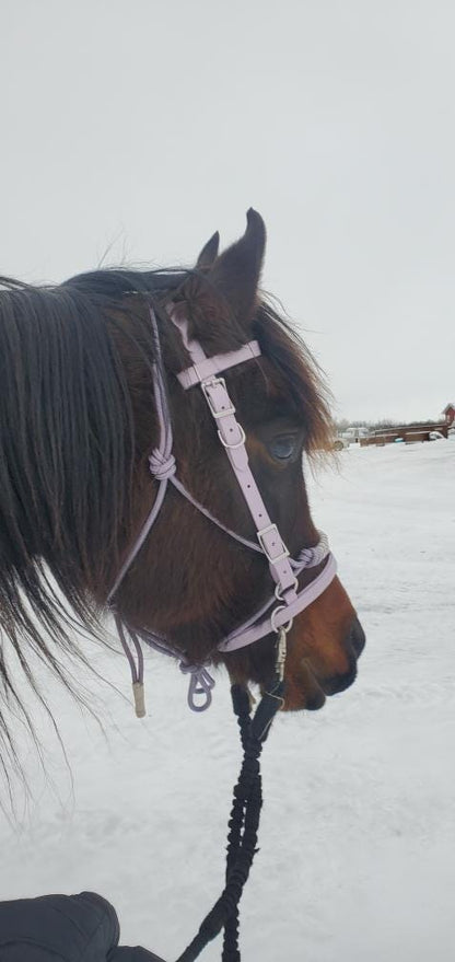 SB Lavender Biothane Endurance adjustable halter / bridle combo with removable noseband/ bitless bridle converter and optional bit attachments