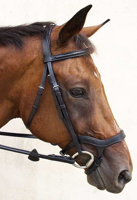 Nunn Finer Innovativo Bridle