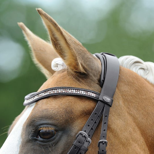 Passier Waved Browband with Premium Pearl Rosé Crystals - Sagebrush Tack