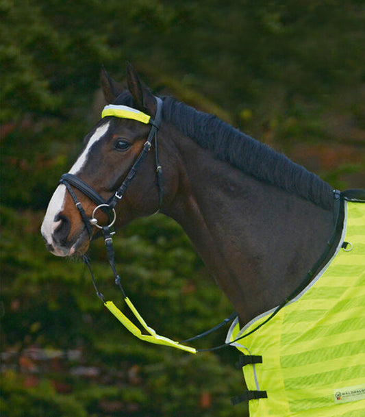 Waldhausen REFLEX Bridle Set