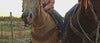 sagerbrushtack