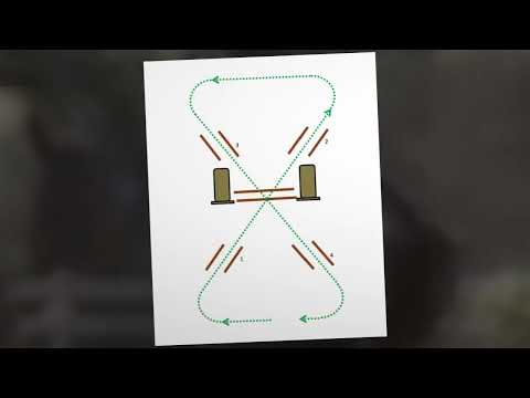 The Working Equitation Training Manual