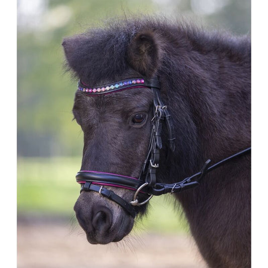 Waldhausen Pinky Star Bridle