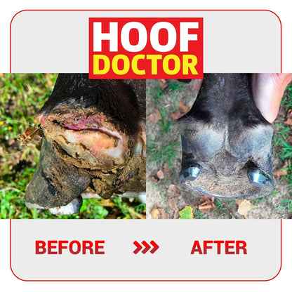 Hoof Doctor - Sagebrush Tack