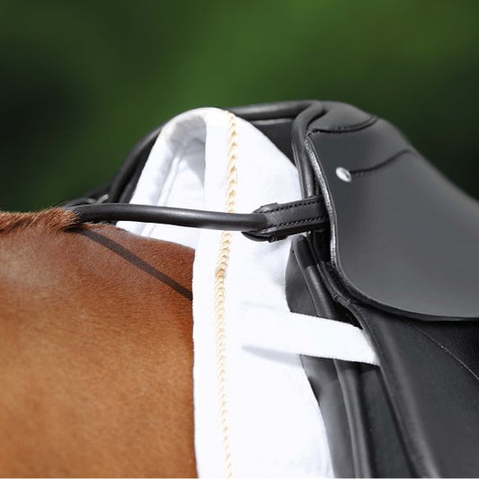 Passier Grab Strap