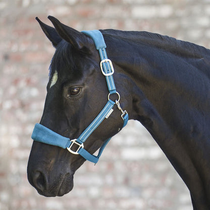 Waldhausen Alcantara Halter - Sagebrush Tack