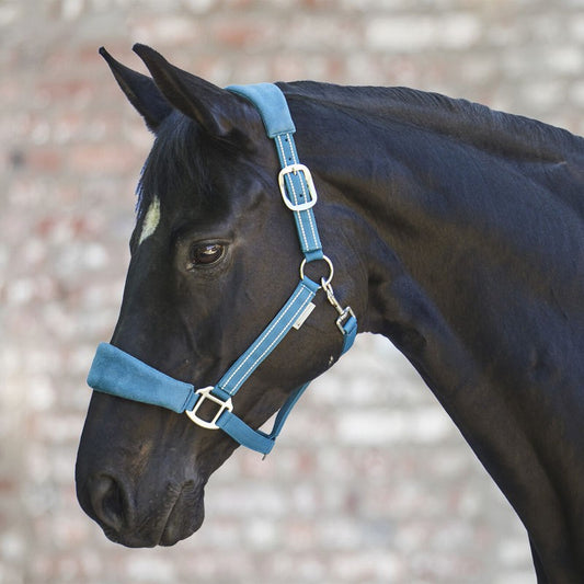 Waldhausen Alcantara Halter - Sagebrush Tack