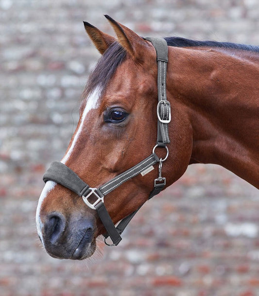 Waldhausen Alcantara Halter - Sagebrush Tack