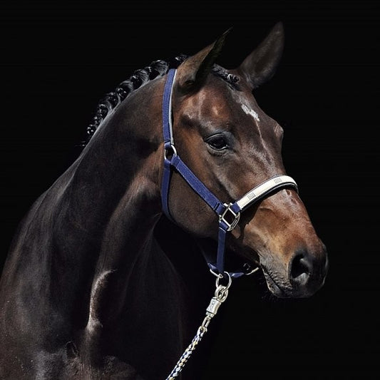 Passier Nylon Stable Halter - Sagebrush Tack