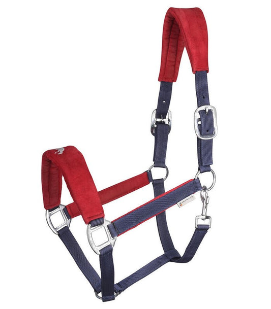 Waldhausen Hellnar Icelandic Halter - Sagebrush Tack