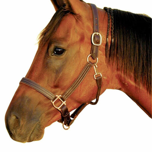 Deluxe 1" Triple Stitched Leather Halter - Sagebrush Tack