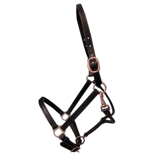Deluxe Leather Track Halter 3/4" - Sagebrush Tack