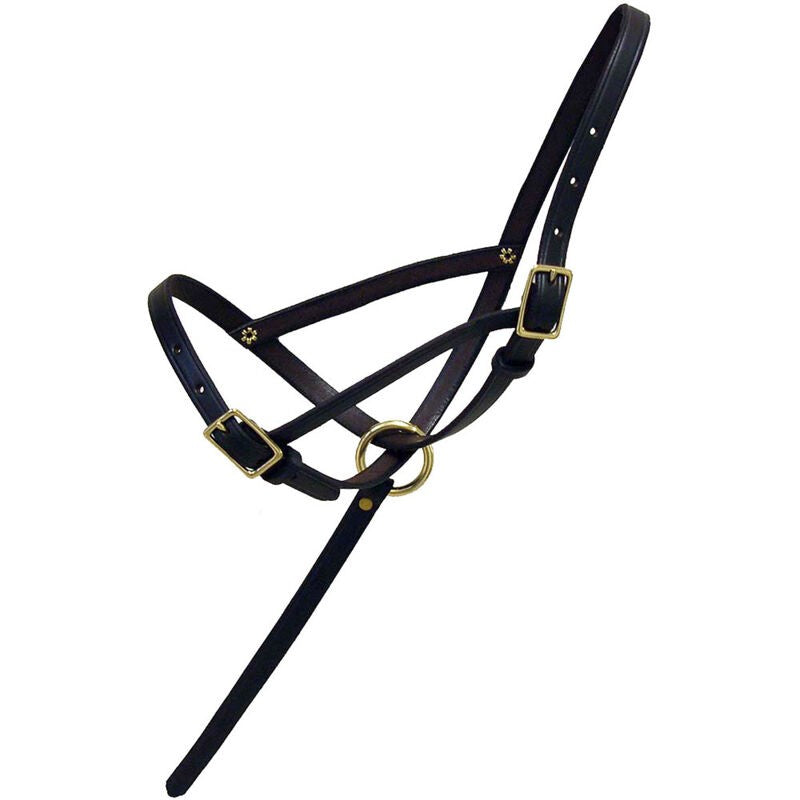 Leather Foal Slip with Grab Strap - Sagebrush Tack