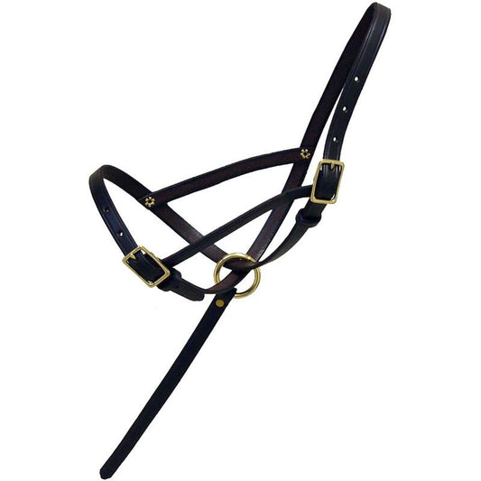Leather Foal Slip with Grab Strap - Sagebrush Tack