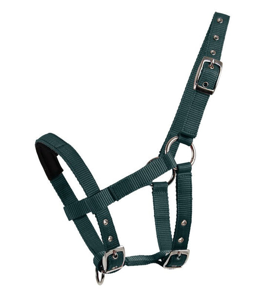 Waldhausen Padded Nylon Mini Halter - Sagebrush Tack