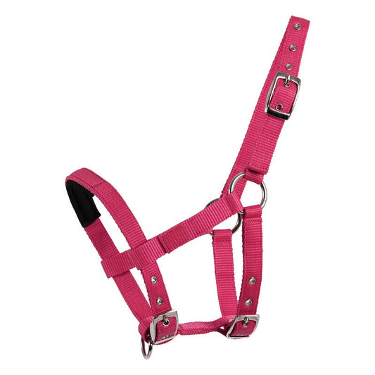 Waldhausen Padded Nylon Mini Halter - Sagebrush Tack