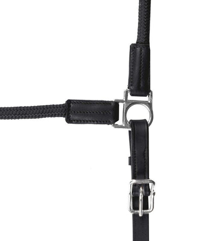 Waldhausen Nevada Halter - Sagebrush Tack