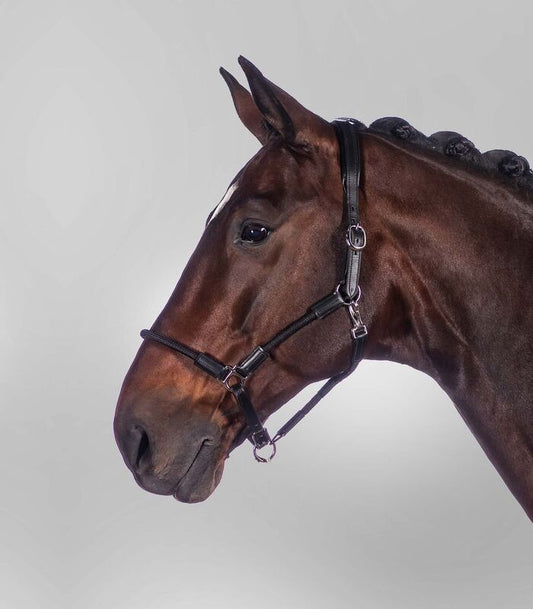 Waldhausen Nevada Halter - Sagebrush Tack