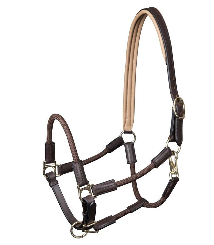 Waldhausen Nevada Halter - Sagebrush Tack