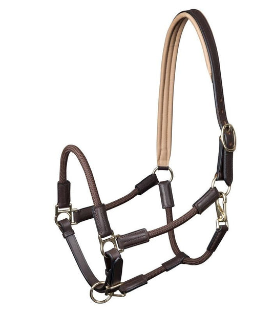 Waldhausen Nevada Halter - Sagebrush Tack