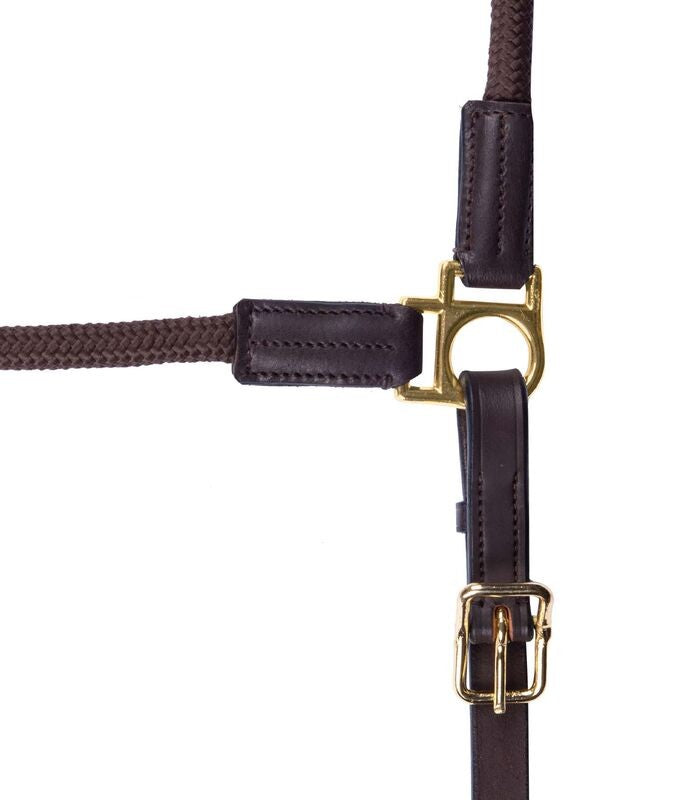 Waldhausen Nevada Halter - Sagebrush Tack