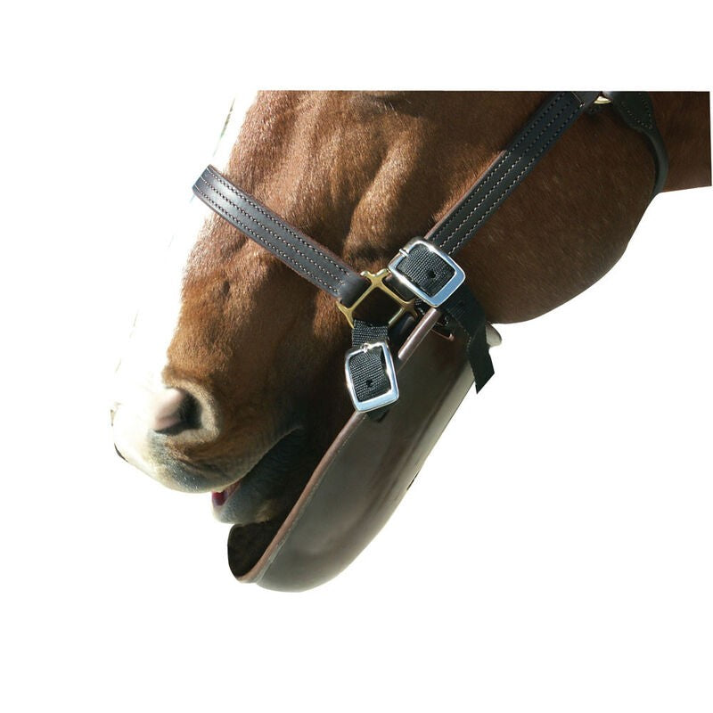 Blanket Bib - Sagebrush Tack