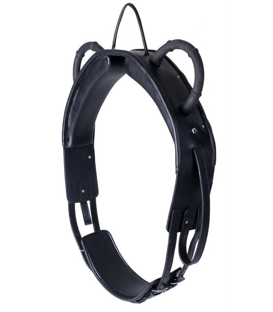 Waldhausen Leather Vaulting Surcingle
