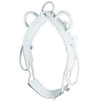 Waldhausen Leather Vaulting Surcingle