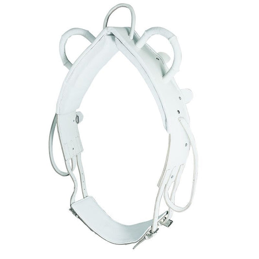 Waldhausen Leather Vaulting Surcingle